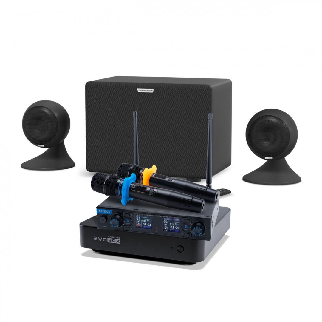 караоке-комплект EVOBOX + EvoSound Sphere 2.1 в Новороссийске