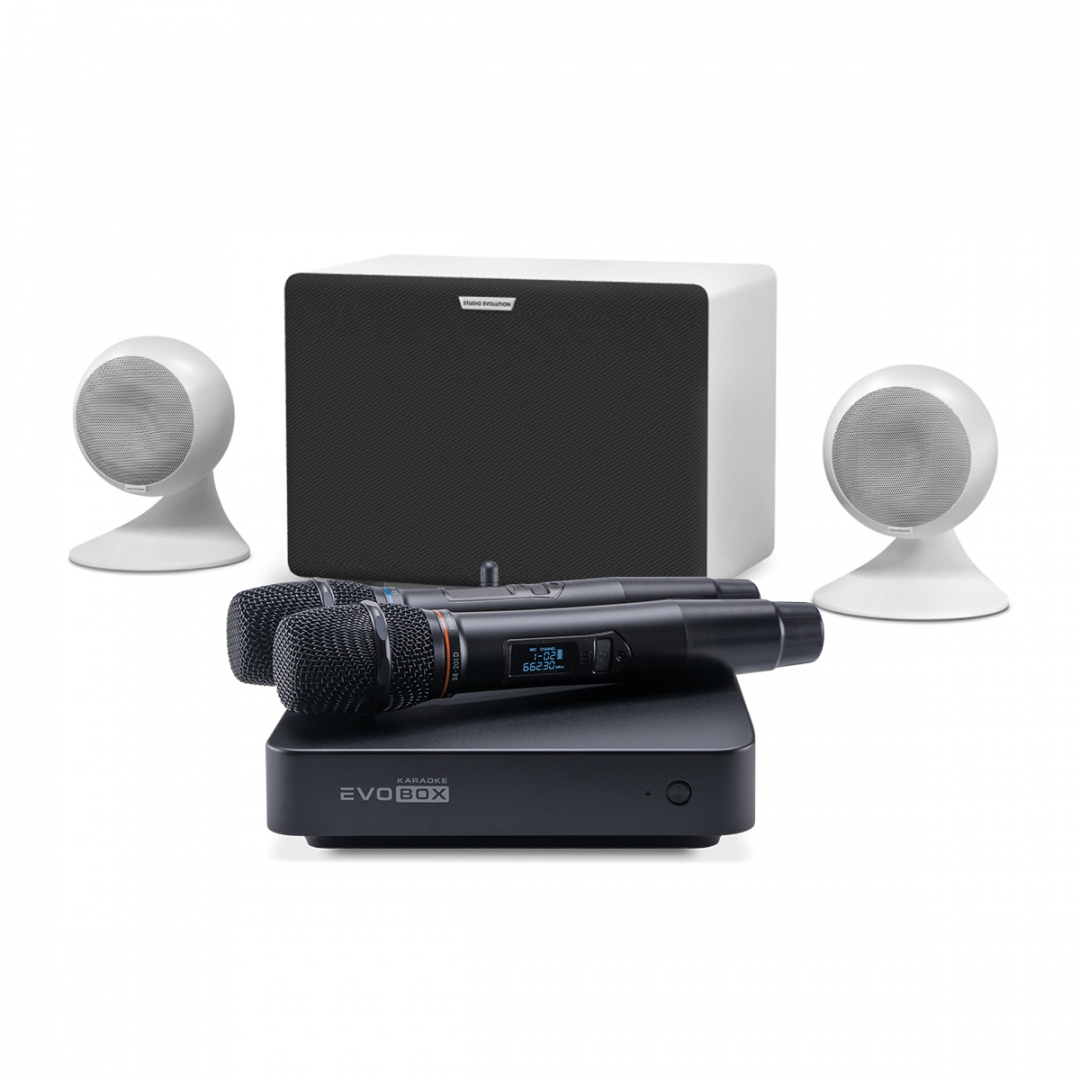 караоке-комплект EVOBOX Classic + EvoSound Sphere 2.1 в Новороссийске